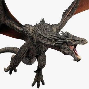 Dragon Black Rigged