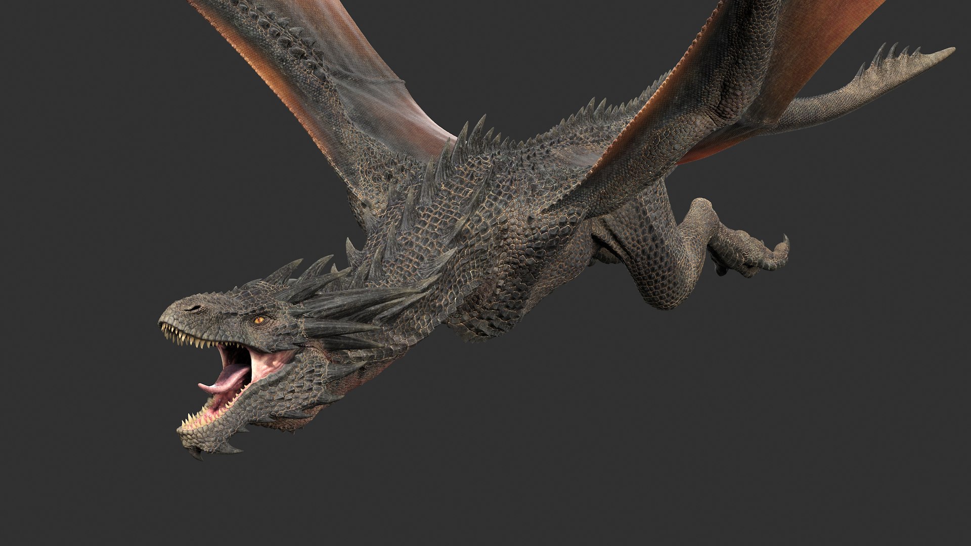 3D dragon rig black - TurboSquid 1569384