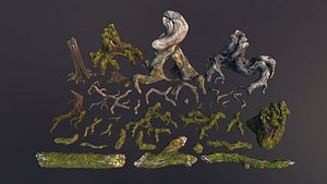 Snags and roots