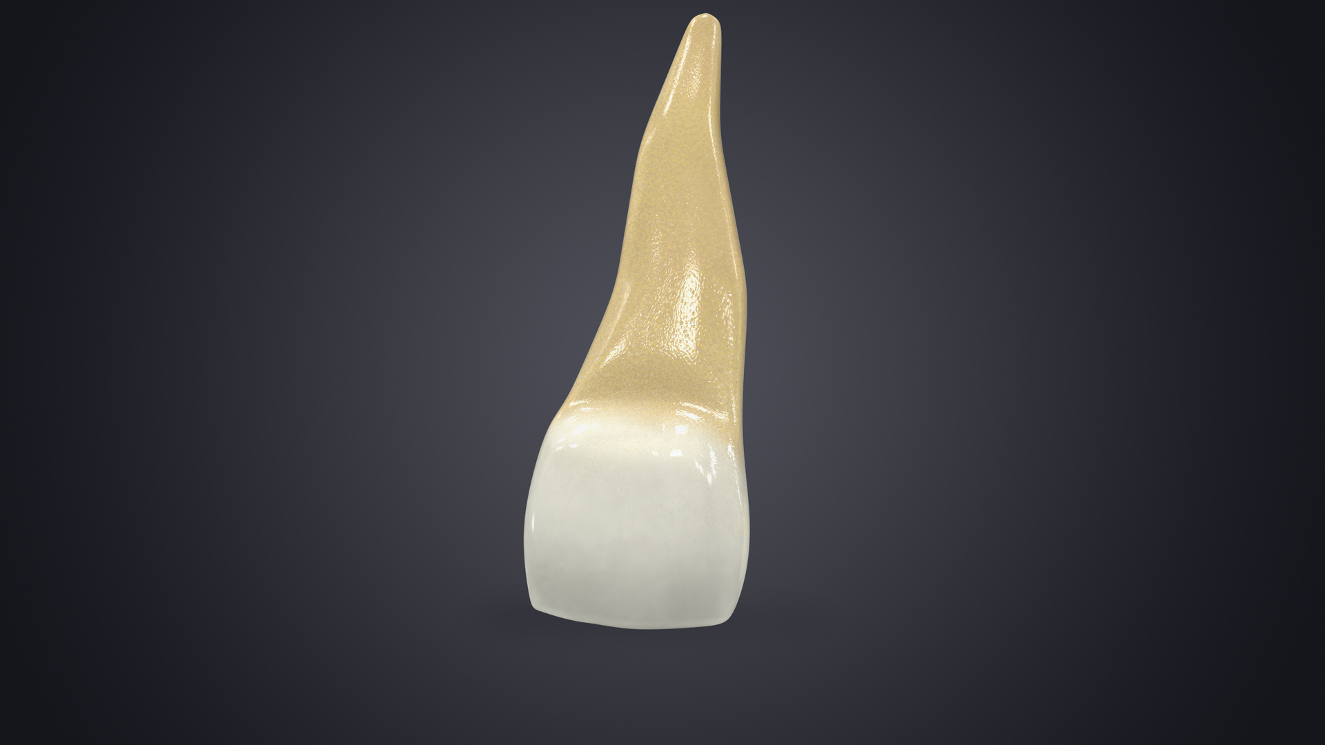 3D upper human teeth - TurboSquid 1617853