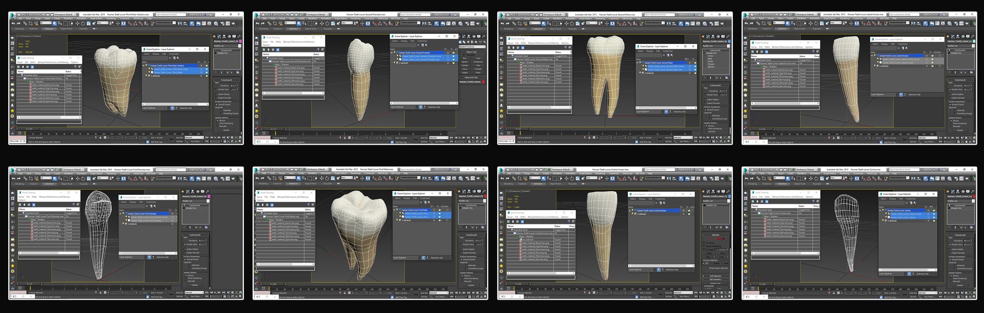 3D upper human teeth https://p.turbosquid.com/ts-thumb/KD/fJCaaP/26LBaKeE/lowerviewports/jpg/1599496430/1920x1080/fit_q87/b9713e9573edd347325736d3952b1a693ca79a9e/lowerviewports.jpg