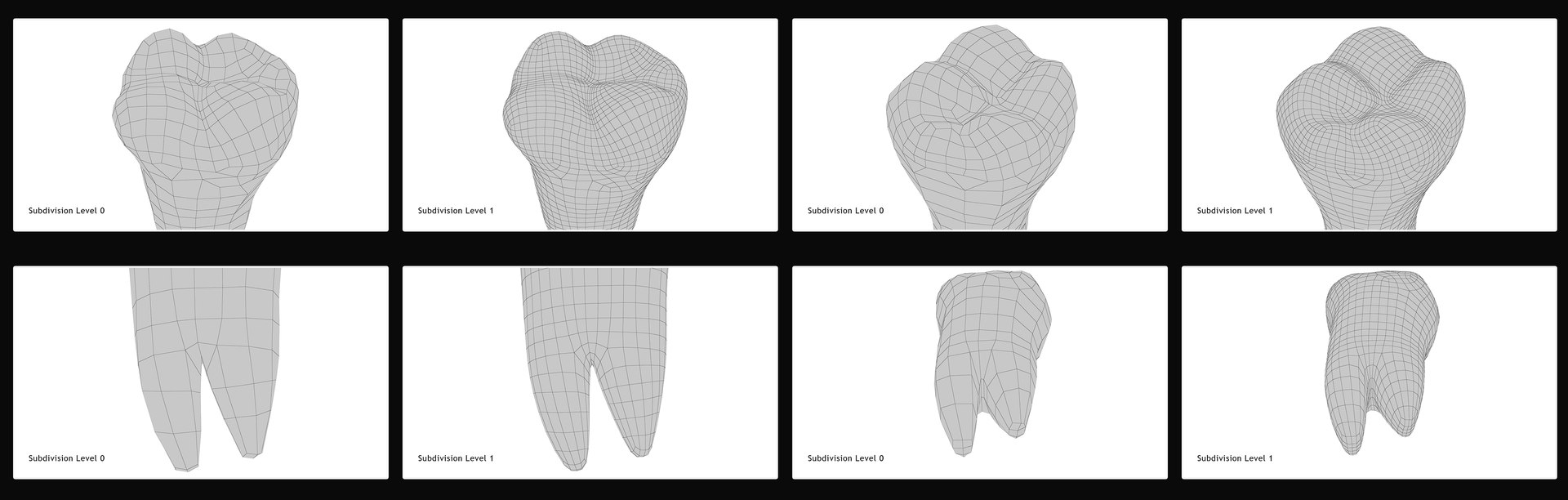 3D upper human teeth https://p.turbosquid.com/ts-thumb/KD/fJCaaP/38yCg6MJ/lowerthirdmolarwisdom/jpg/1599496149/1920x1080/fit_q87/8d11bfd3e1231066e3fc03c2a266ad78e0895e53/lowerthirdmolarwisdom.jpg