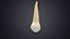 Collezione di denti umani realistici