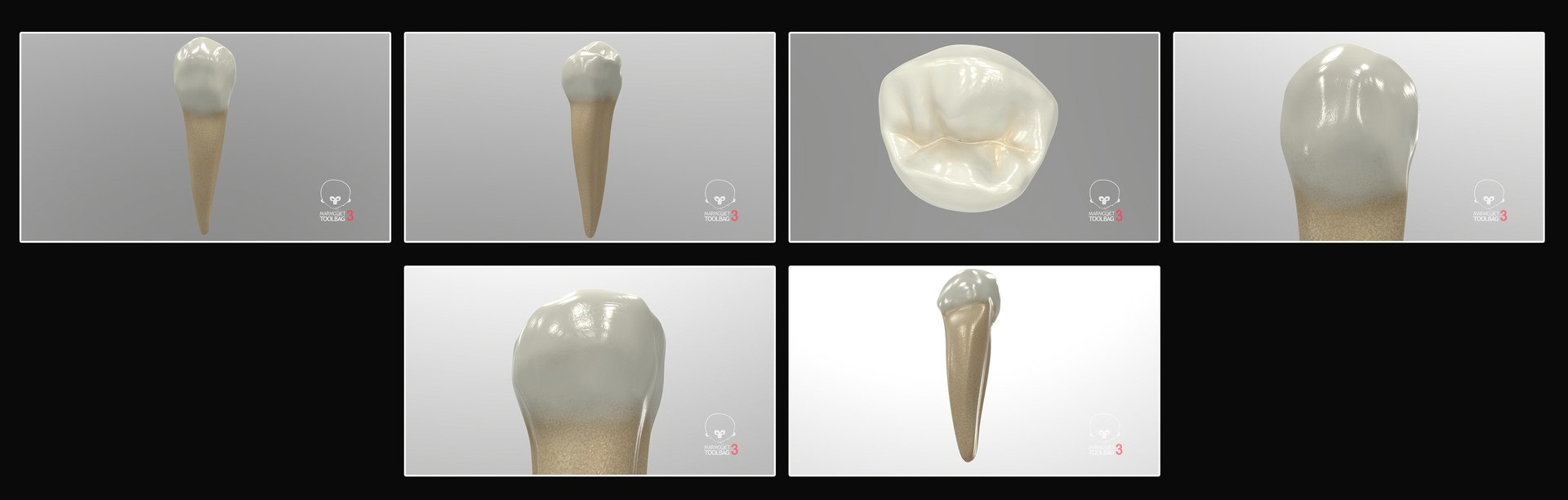 3D upper human teeth https://p.turbosquid.com/ts-thumb/KD/fJCaaP/6dZMz3h9/lowerfirstpremolar_pbr/jpg/1599494057/1920x1080/fit_q87/cd1d8aab6255fb32dc0ee3ab11ba47a4c7f4560a/lowerfirstpremolar_pbr.jpg