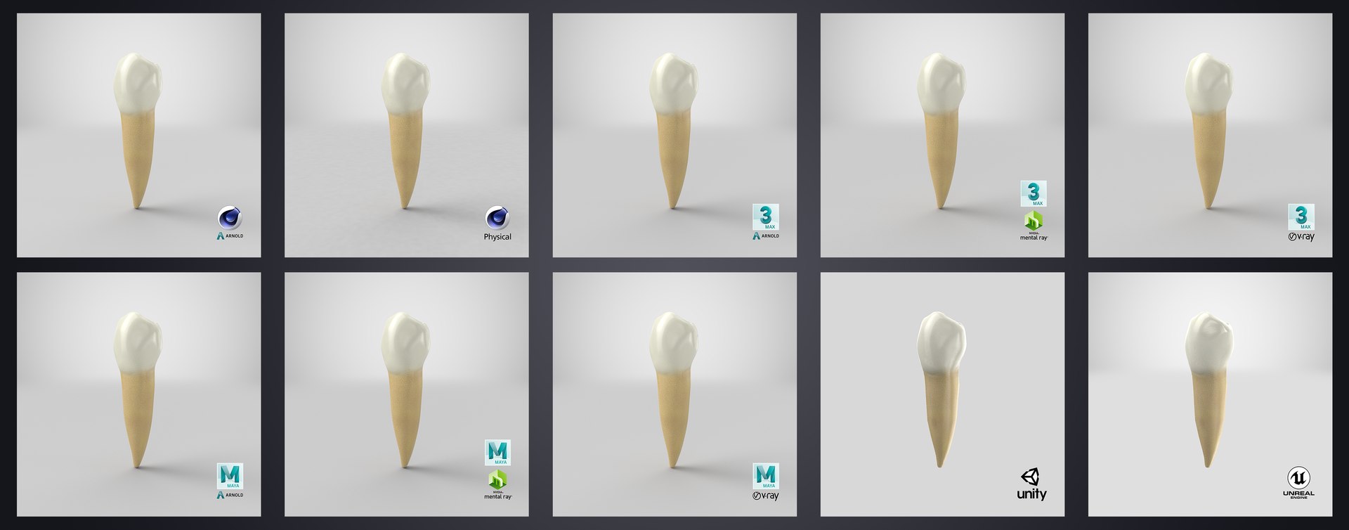 3D upper human teeth https://p.turbosquid.com/ts-thumb/KD/fJCaaP/EiIHtyWw/lowersecondpremolar_stem/jpg/1599494357/1920x1080/fit_q87/1f390ae0af18ec1e9f42fe689be7387c58662b6a/lowersecondpremolar_stem.jpg