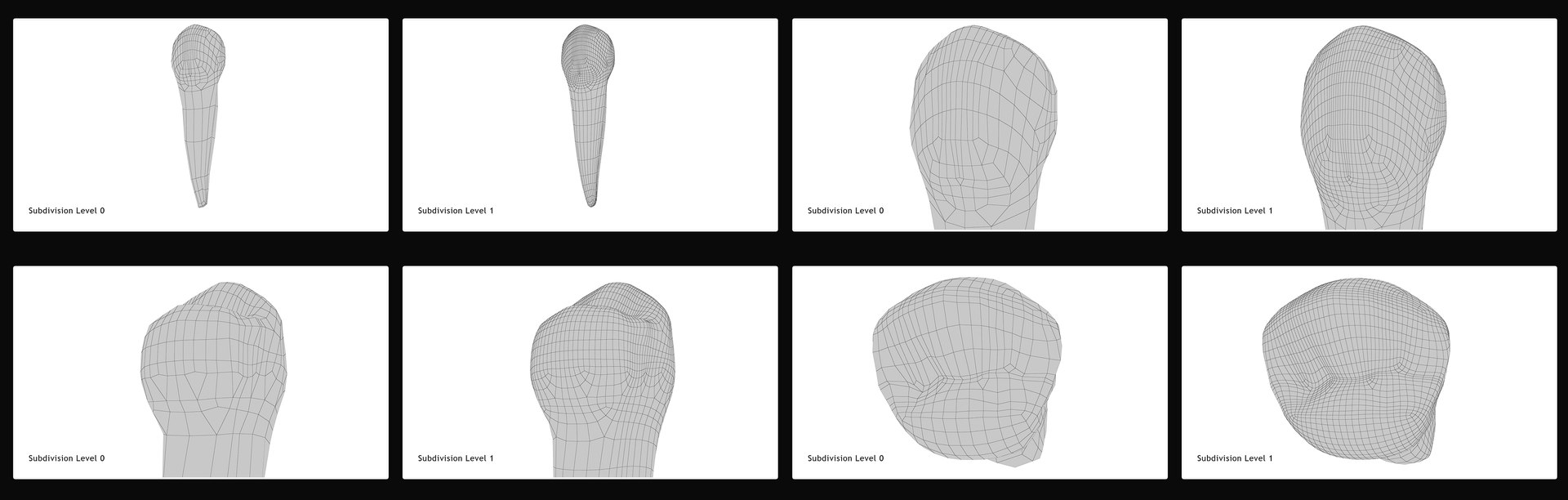 3D upper human teeth https://p.turbosquid.com/ts-thumb/KD/fJCaaP/Eu9AdS21/lowerfirstpremolar_wireframe/jpg/1599494083/1920x1080/fit_q87/cabe57453068a3652f0d93b7f17344ab00e0c509/lowerfirstpremolar_wireframe.jpg