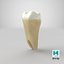 Collezione di denti umani realistici