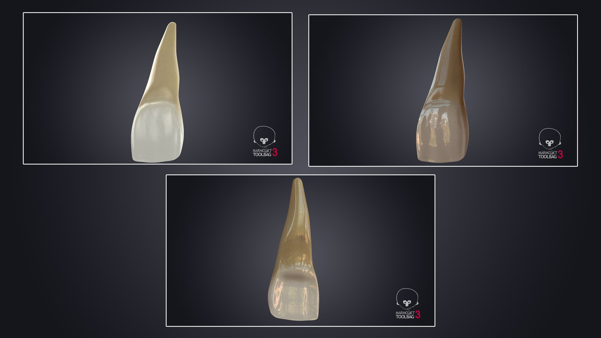 3D upper human teeth https://p.turbosquid.com/ts-thumb/KD/fJCaaP/MWDXDoa9/uppercentralincisor_pbr/jpg/1599490176/1920x1080/fit_q87/e03e549cda53cf990e1536b04dd6b400a47a9fa5/uppercentralincisor_pbr.jpg