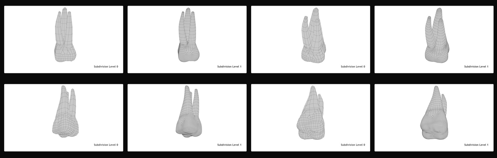 3D upper human teeth https://p.turbosquid.com/ts-thumb/KD/fJCaaP/O9yBxYqL/upperfirstmolar_pres_wireframe/jpg/1599491996/1920x1080/fit_q87/0596691b610fbbaf4d2b26640df59ccfc5d39db8/upperfirstmolar_pres_wireframe.jpg