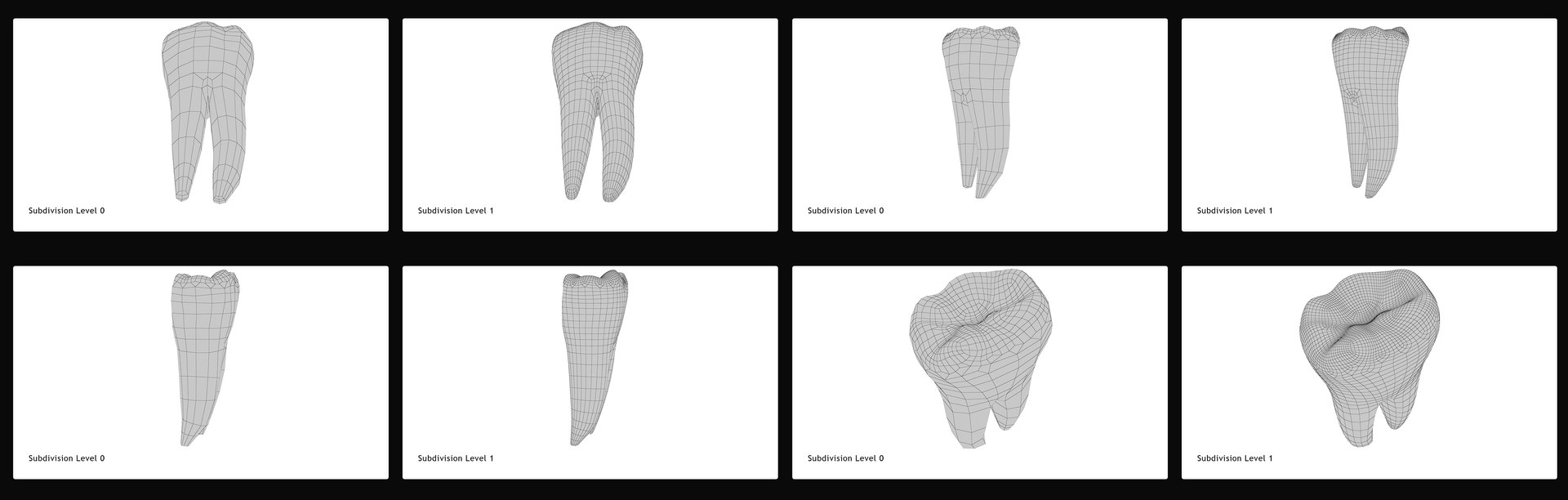 3D upper human teeth https://p.turbosquid.com/ts-thumb/KD/fJCaaP/OKo99Q2o/lowerfirstmolar_wireframe/jpg/1599494796/1920x1080/fit_q87/6ff139654b84cc33dcd89a8aff7221987547fadd/lowerfirstmolar_wireframe.jpg