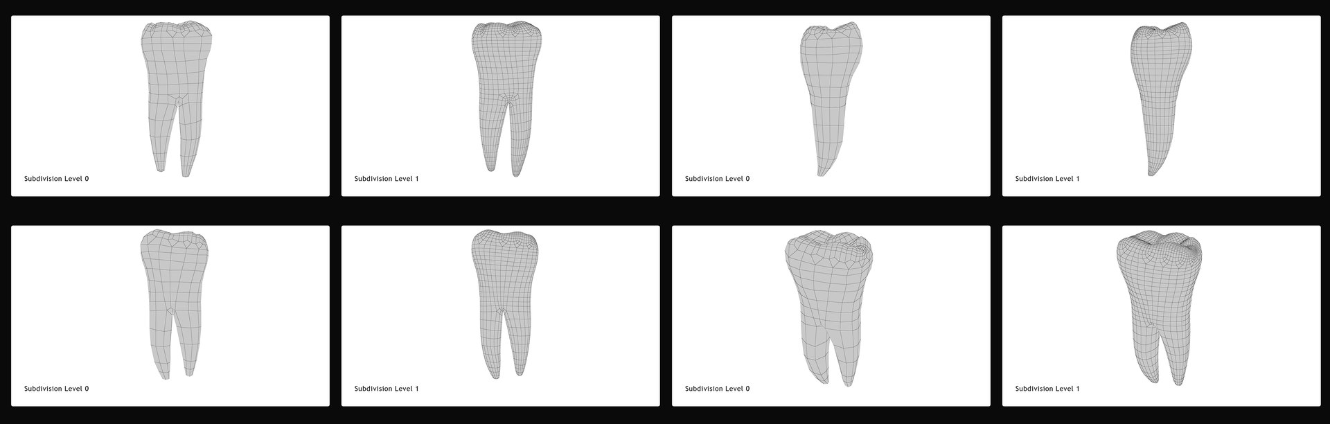 3D upper human teeth https://p.turbosquid.com/ts-thumb/KD/fJCaaP/RnZ3KAHU/lowersecondmolar_wireframe/jpg/1599495560/1920x1080/fit_q87/1b95dac6ad3e4f7a52b48528983f9aafe43da12b/lowersecondmolar_wireframe.jpg