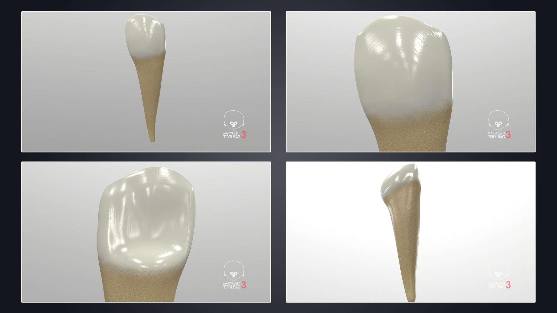 3D upper human teeth https://p.turbosquid.com/ts-thumb/KD/fJCaaP/TWAgHlGO/lowercanine_pbr/jpg/1599493802/1920x1080/fit_q87/4d37c920eccb1552bd88e33f812fd90c5480ec21/lowercanine_pbr.jpg