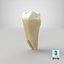 Collezione di denti umani realistici