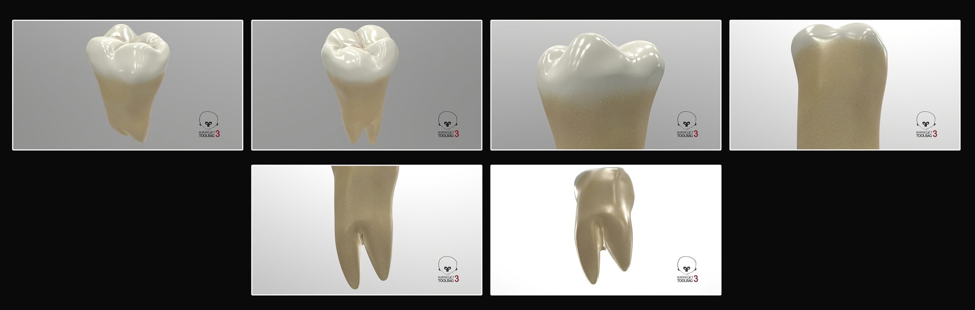 3D upper human teeth https://p.turbosquid.com/ts-thumb/KD/fJCaaP/XSIm4MLe/lowerthirdmolarwisdom_pbr/jpg/1599496145/1920x1080/fit_q87/37ec945db9a78655493bb976ad9b9857fd326485/lowerthirdmolarwisdom_pbr.jpg