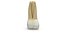 Collezione di denti umani realistici