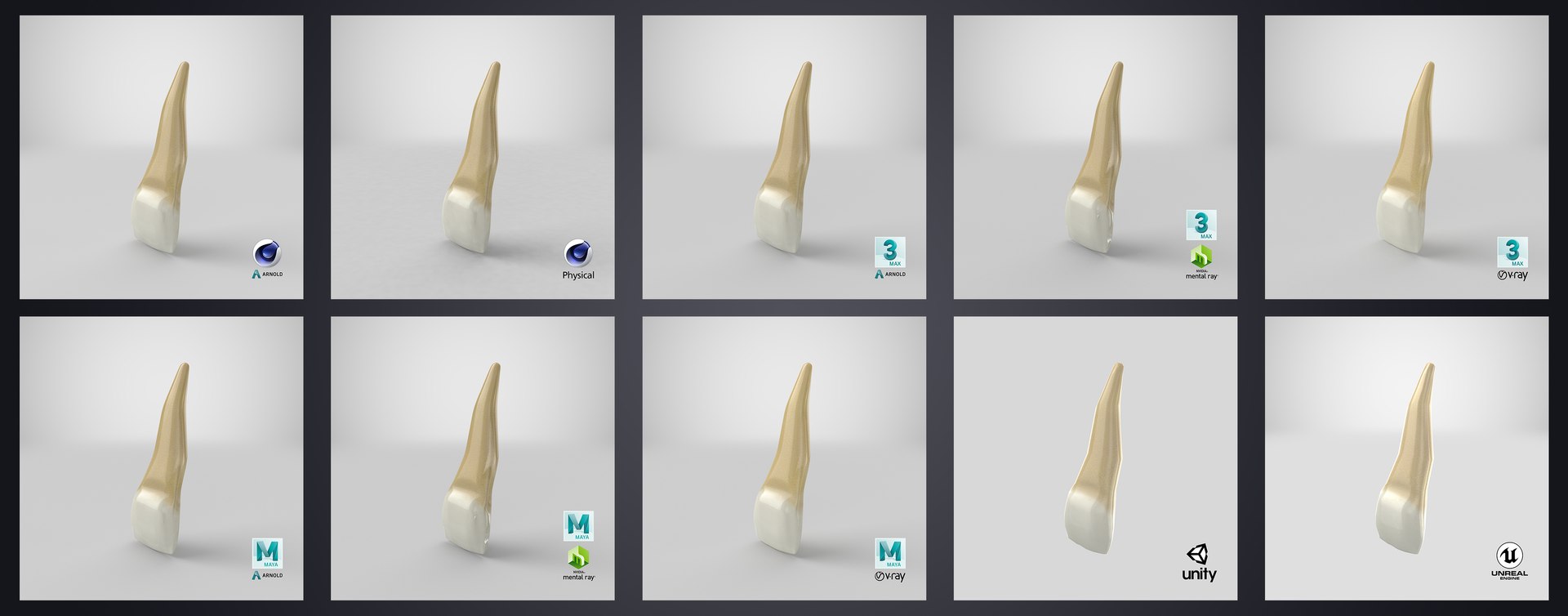 3D upper human teeth https://p.turbosquid.com/ts-thumb/KD/fJCaaP/ekJbkHBn/upperlateralincisor_stem_render/jpg/1599490313/1920x1080/fit_q87/ab43ce2667436668ad60a9b91e59b0ad08996751/upperlateralincisor_stem_render.jpg