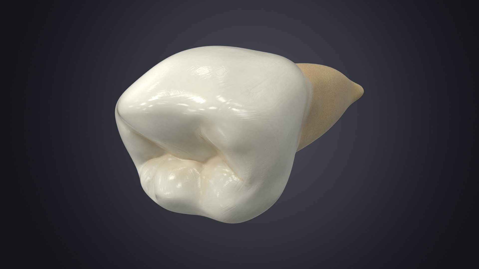 3D upper human teeth https://p.turbosquid.com/ts-thumb/KD/fJCaaP/elXUhJAq/lowersecondpremolarcontextsignature/jpg/1599494368/1920x1080/fit_q87/08aedd90df622b73f265baaaaeeab9b02505f131/lowersecondpremolarcontextsignature.jpg