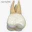 Collezione di denti umani realistici