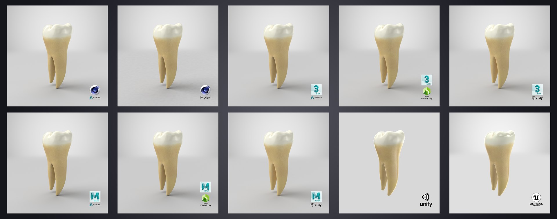 3D upper human teeth https://p.turbosquid.com/ts-thumb/KD/fJCaaP/iwfuAM2p/lowersecondmolar_stem/jpg/1599495564/1920x1080/fit_q87/b7bced65370518337b7414117774f6114e15ea5e/lowersecondmolar_stem.jpg