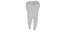Collezione di denti umani realistici