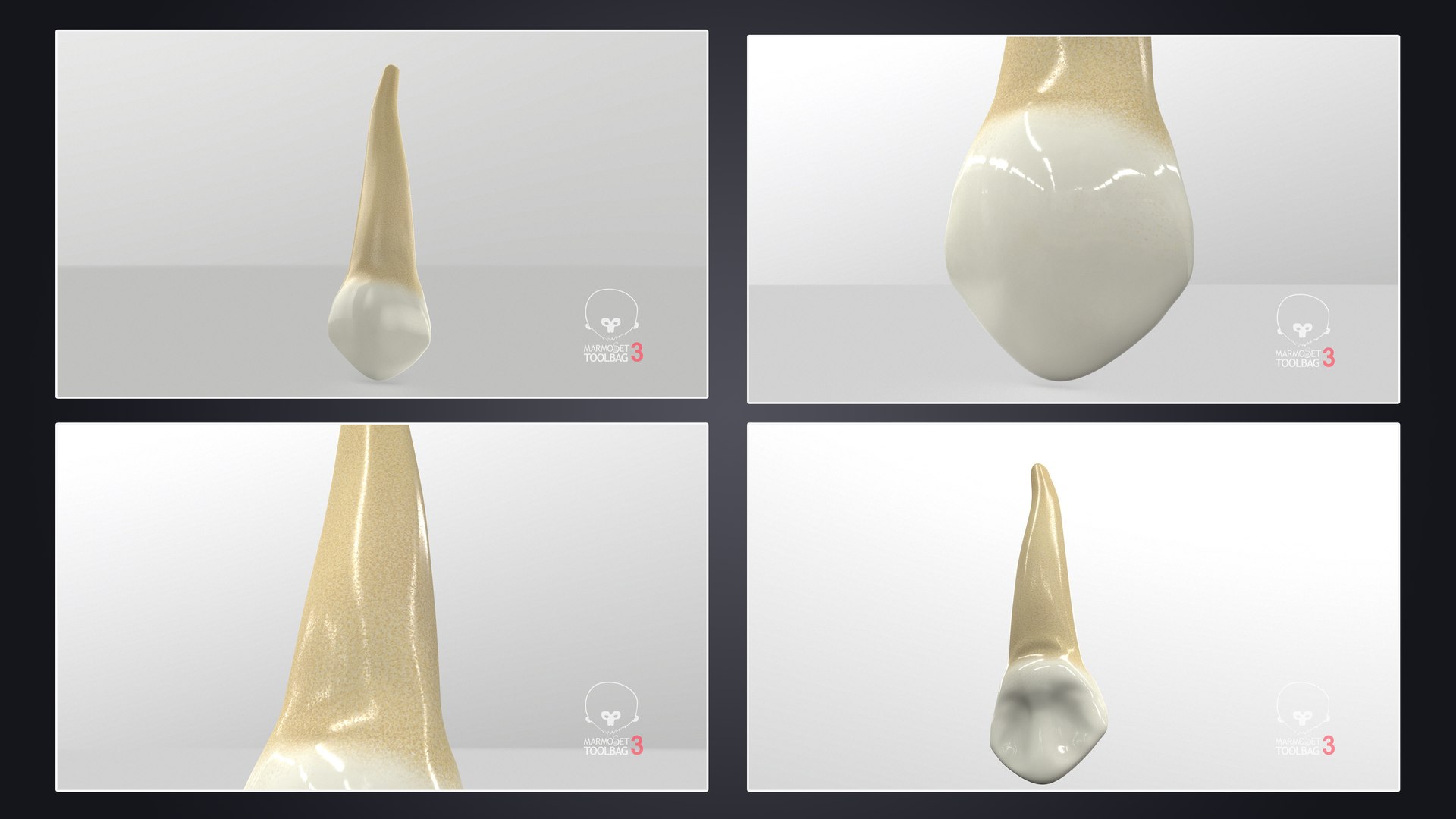 3D upper human teeth https://p.turbosquid.com/ts-thumb/KD/fJCaaP/lOOoIyMj/uppercanine_pbr/jpg/1599490424/1920x1080/fit_q87/46555859edb83ac9368a949d3f8b83d040132663/uppercanine_pbr.jpg