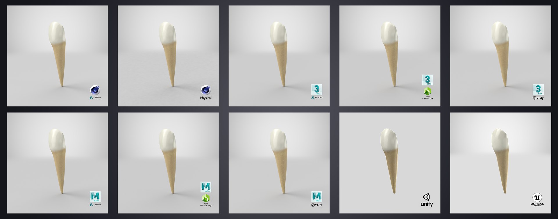 3D upper human teeth https://p.turbosquid.com/ts-thumb/KD/fJCaaP/plu5W4Hb/lowercanine_stem/jpg/1599493797/1920x1080/fit_q87/f63aa3d76d4b3e1ec73fa3f3cb71464062b607c9/lowercanine_stem.jpg