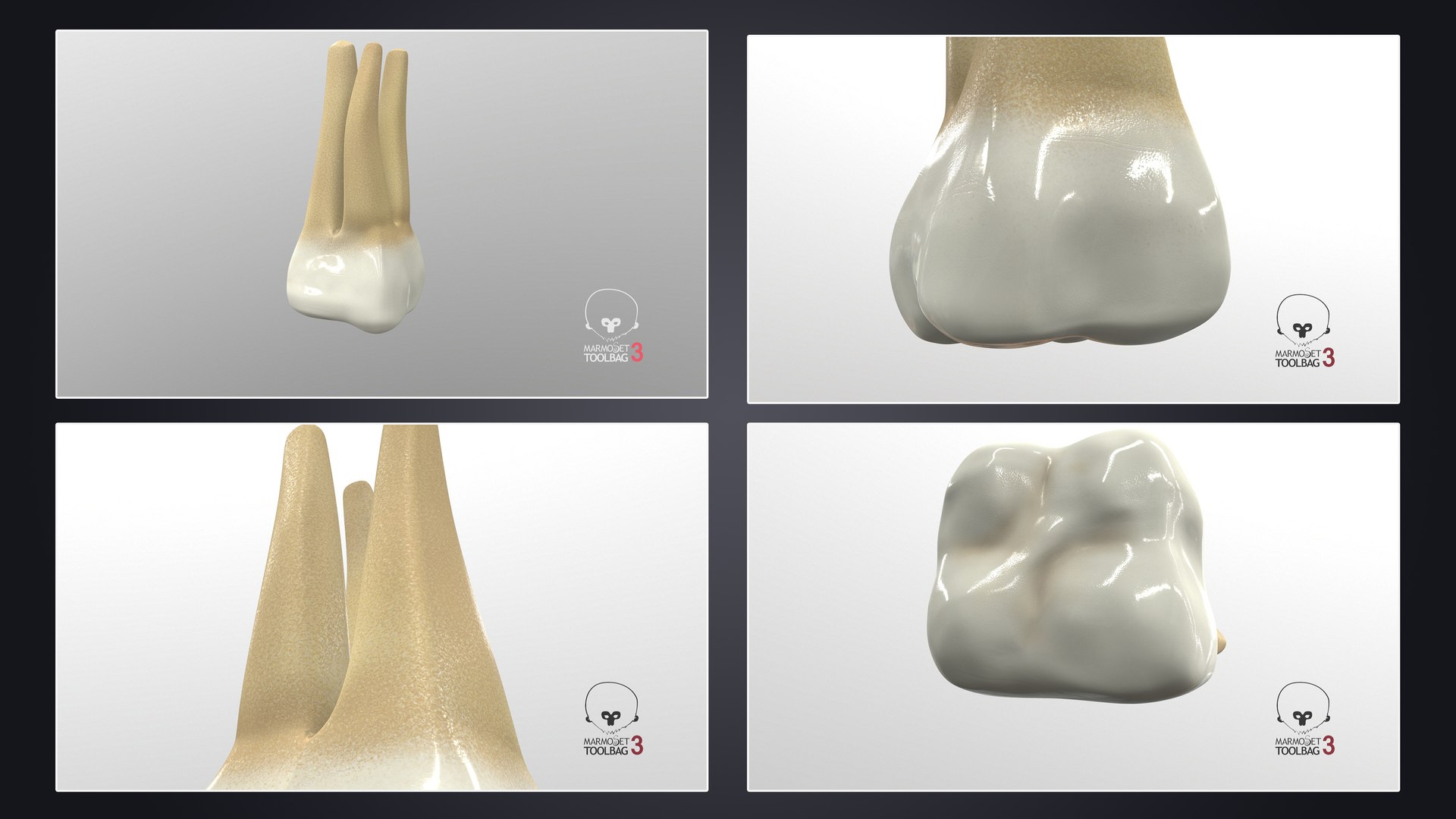 3D upper human teeth https://p.turbosquid.com/ts-thumb/KD/fJCaaP/r4L7Bx9V/upperfirstmolar_pbr/jpg/1599492001/1920x1080/fit_q87/2cf76f90dbba93fcd05ee7e3c8d285c6ac5dd08c/upperfirstmolar_pbr.jpg