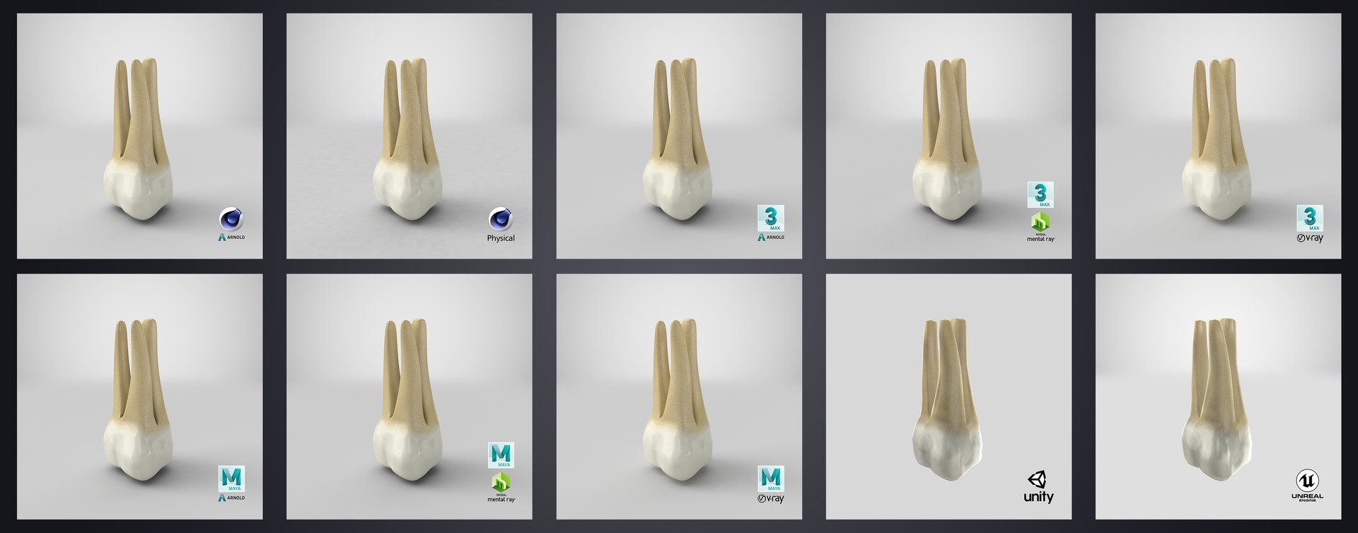 3D upper human teeth https://p.turbosquid.com/ts-thumb/KD/fJCaaP/sAsY0B6Z/uppersecondmolar_stem_render/jpg/1599492373/1920x1080/fit_q87/c0954bf4a4cefa556d3a701df3437540807a5577/uppersecondmolar_stem_render.jpg