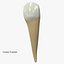 Collezione di denti umani realistici