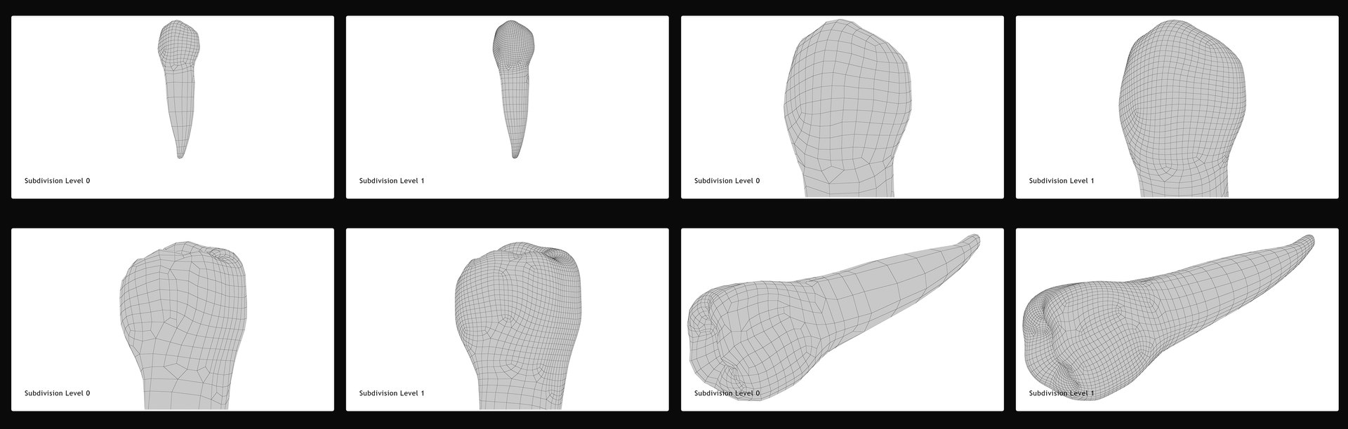 3D upper human teeth https://p.turbosquid.com/ts-thumb/KD/fJCaaP/u3VLoyps/lowersecondpremolar_wireframe/jpg/1599494404/1920x1080/fit_q87/e07d7facb43cf45d203b315f6f9e2625ece09385/lowersecondpremolar_wireframe.jpg