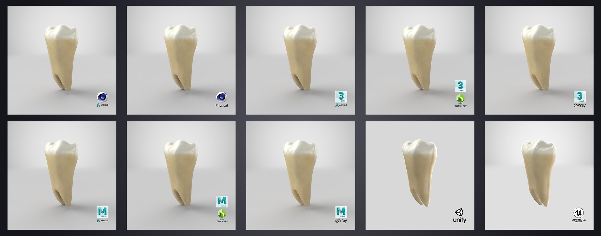 3D upper human teeth https://p.turbosquid.com/ts-thumb/KD/fJCaaP/y3DuhNS9/lowerthirdmolarwisdom_stem/jpg/1599496163/1920x1080/fit_q87/5dc2473b5296eccb5514c388bc848f9c6887dbdf/lowerthirdmolarwisdom_stem.jpg