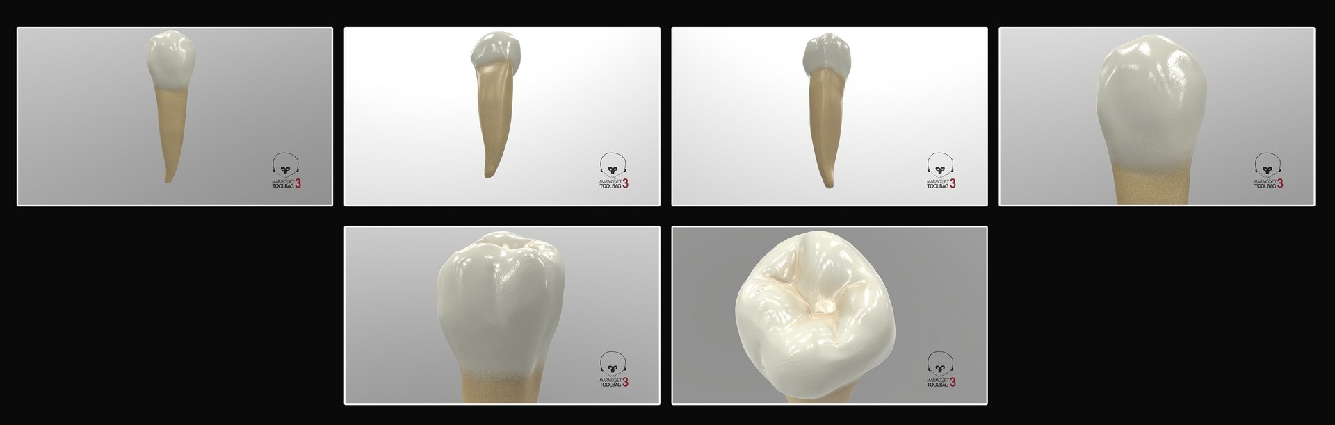 3D upper human teeth https://p.turbosquid.com/ts-thumb/KD/fJCaaP/yJs5v44u/lowersecondpremolar_pbr/jpg/1599494361/1920x1080/fit_q87/6e1a0419b15e738ca502a15771fabc518f387699/lowersecondpremolar_pbr.jpg