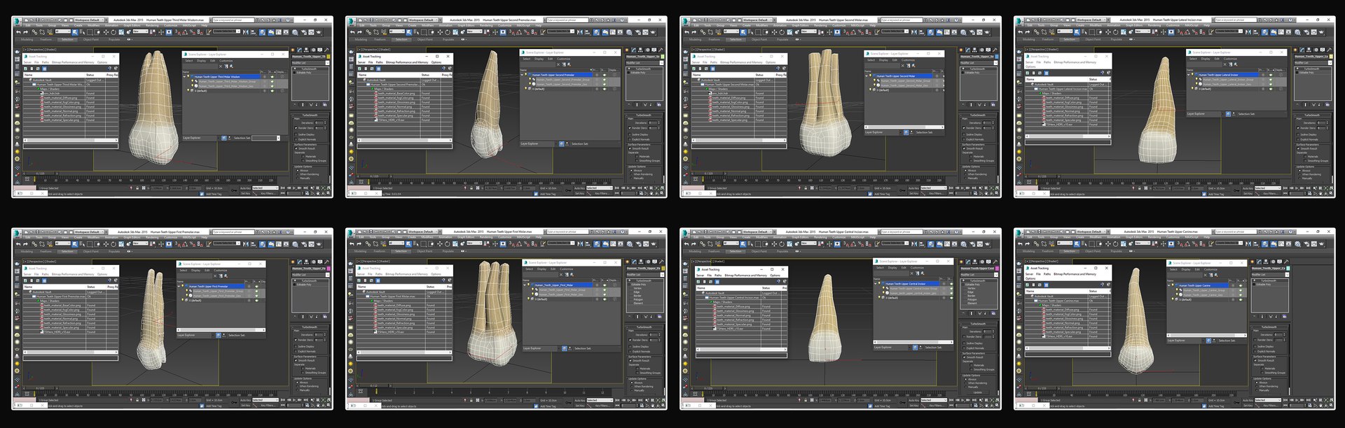 3D upper human teeth https://p.turbosquid.com/ts-thumb/KD/fJCaaP/zjcC5WcW/upperviewports/jpg/1599496424/1920x1080/fit_q87/79fd4e0014f2f6e516669a109d75ad086d117718/upperviewports.jpg