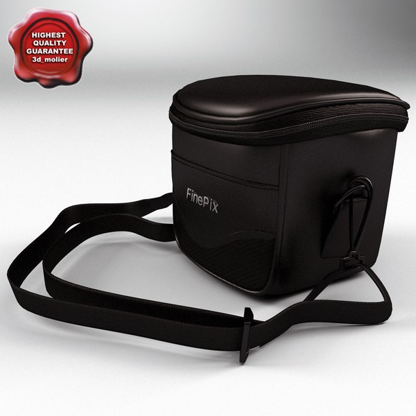 camcorder bag finepix 3d 3ds