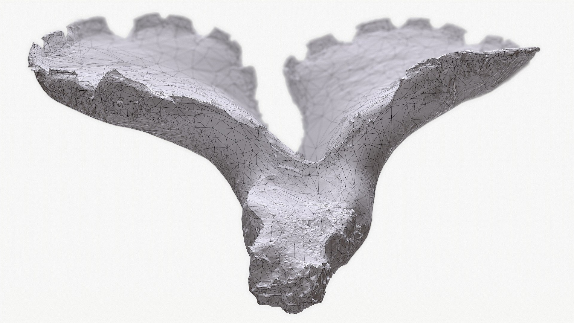 Mushroom Polypore 3D Model - TurboSquid 1166902