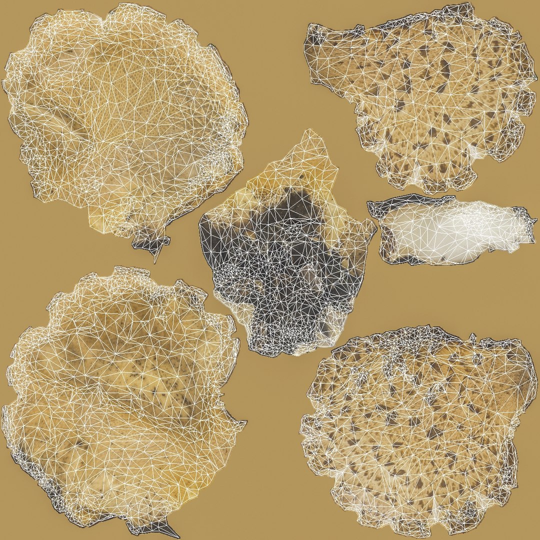 Mushroom Polypore 3D Model - TurboSquid 1166902