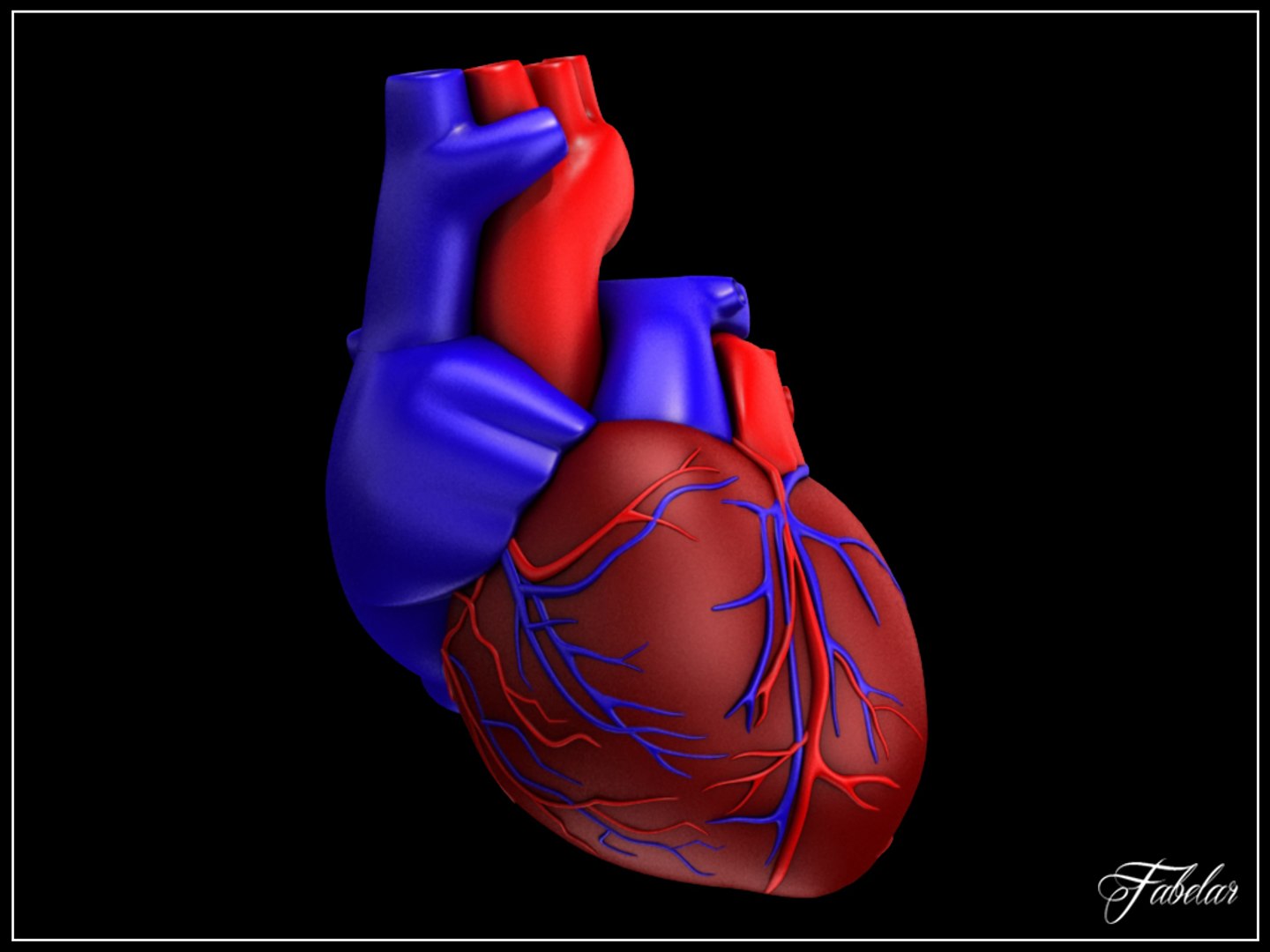 Max Human Heart