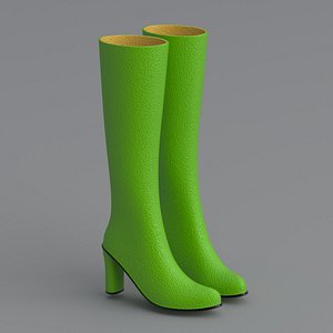 Knee Boots Green model