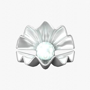 3D Shell and Pearl model