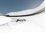 Icescape