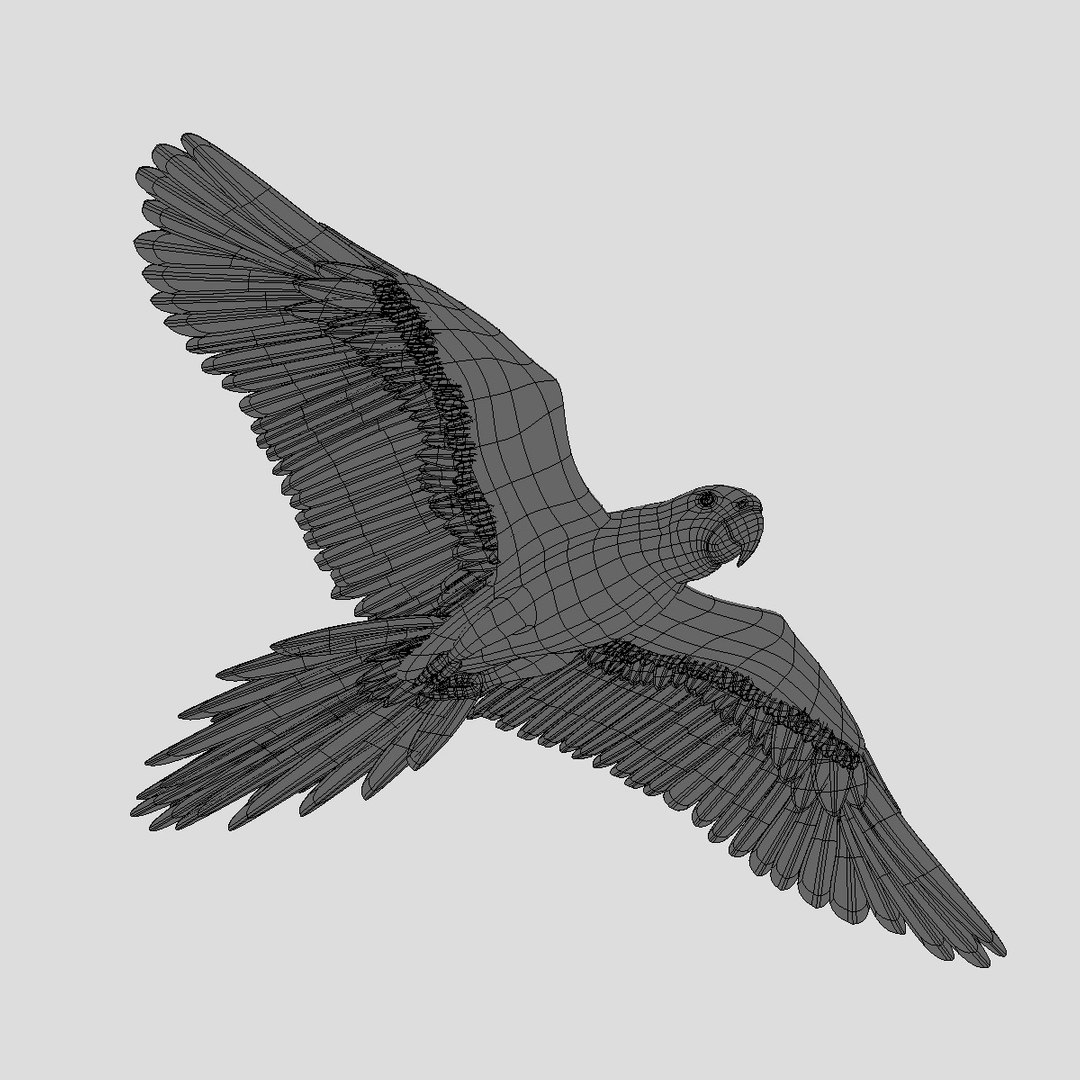birds american bald 3d obj https://p.turbosquid.com/ts-thumb/KE/Bazgt5/37vpYdFD/hd9/jpg/1303052831/1920x1080/fit_q87/b3971bb6aa08ad86add55dcef132ba4e7337801e/hd9.jpg