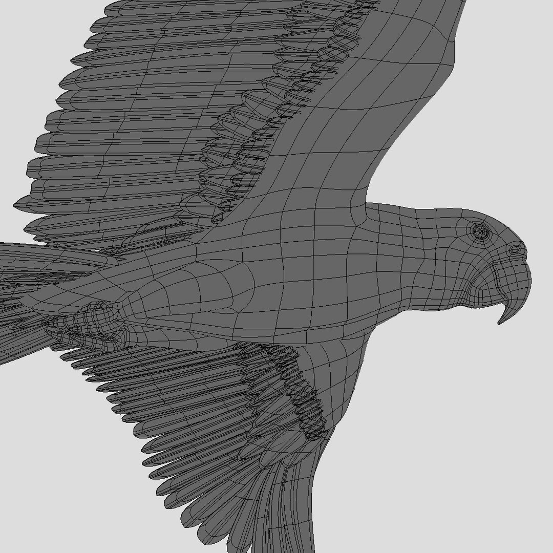 birds american bald 3d obj https://p.turbosquid.com/ts-thumb/KE/Bazgt5/8dgR0CDu/hd7/jpg/1303052831/1920x1080/fit_q87/f6cda604569806fd07c4049ae20866e33687a52c/hd7.jpg