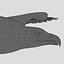birds american bald 3d obj