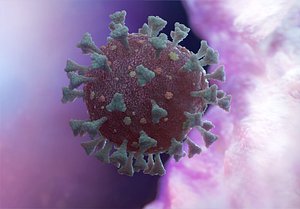 optimized realistic corona virus model