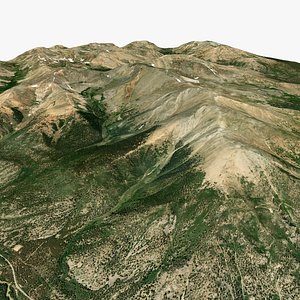 3D Mount Elbert San Isabel National Forest State of Colorado US