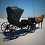 horse carriage v2 3d model