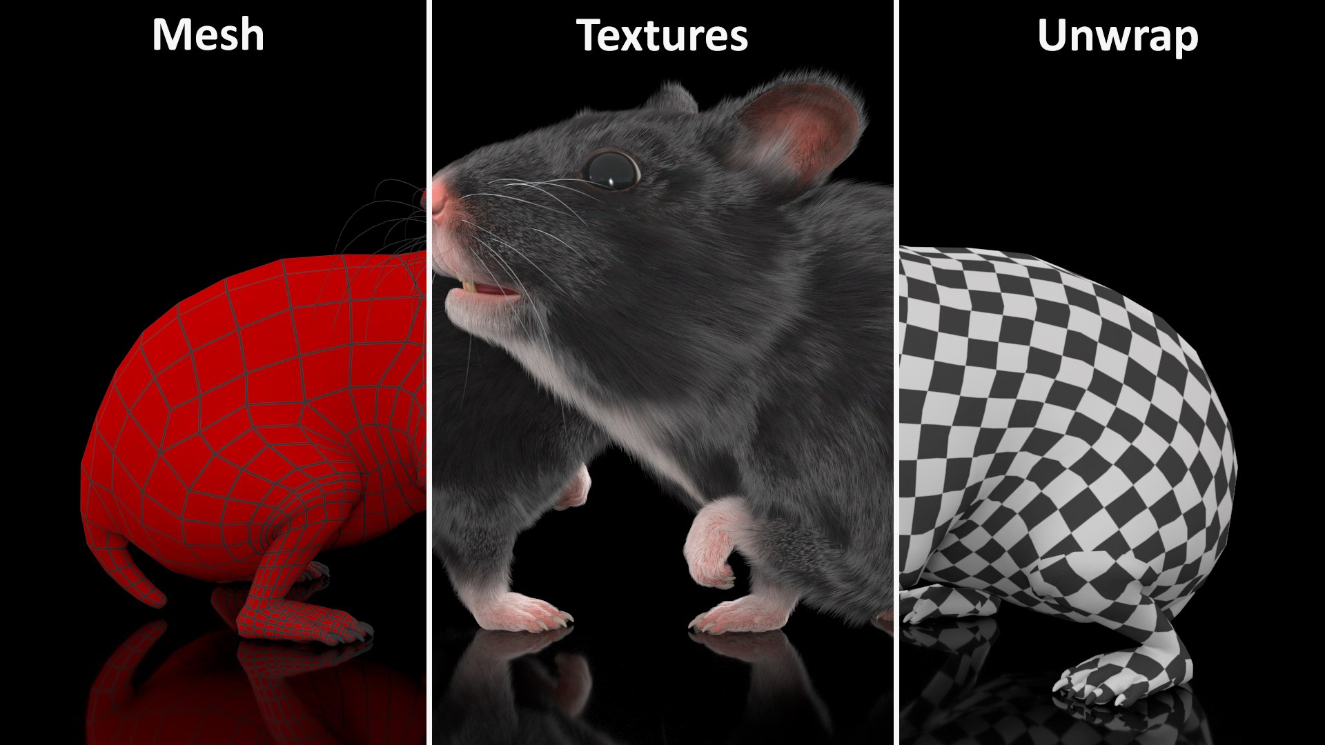 3D Syrian Hamster Black Rigged https://p.turbosquid.com/ts-thumb/KE/t7Gr1b/0R/syrianhamsterblackriggedc4dmodel033/jpg/1680474996/1920x1080/fit_q87/c6e289497ce941415e39285728a7d6a0953c461d/syrianhamsterblackriggedc4dmodel033.jpg