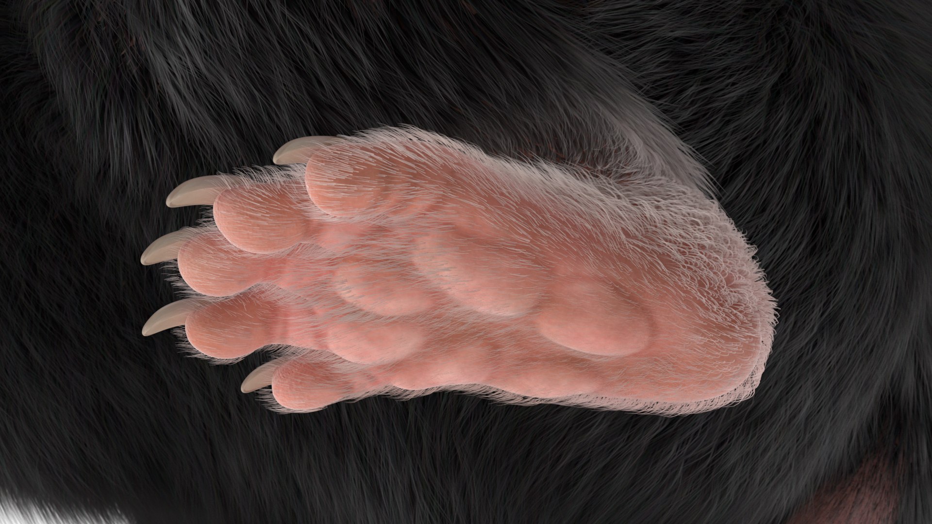 3D Syrian Hamster Black Rigged https://p.turbosquid.com/ts-thumb/KE/t7Gr1b/FF/syrianhamsterblackriggedc4dmodel032/jpg/1680474993/1920x1080/fit_q87/4ed79a69221651b2e75bcde8779c32e48f14ad34/syrianhamsterblackriggedc4dmodel032.jpg
