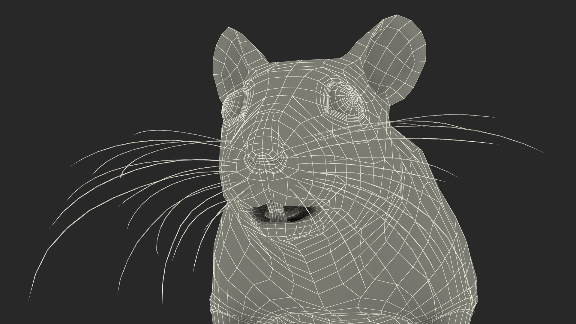 3D Syrian Hamster Black Rigged https://p.turbosquid.com/ts-thumb/KE/t7Gr1b/MX/syrianhamsterblackriggedc4dmodel044/jpg/1680475031/1920x1080/fit_q87/0a4de027d6f7268a94500b17f566fc6a71189f90/syrianhamsterblackriggedc4dmodel044.jpg