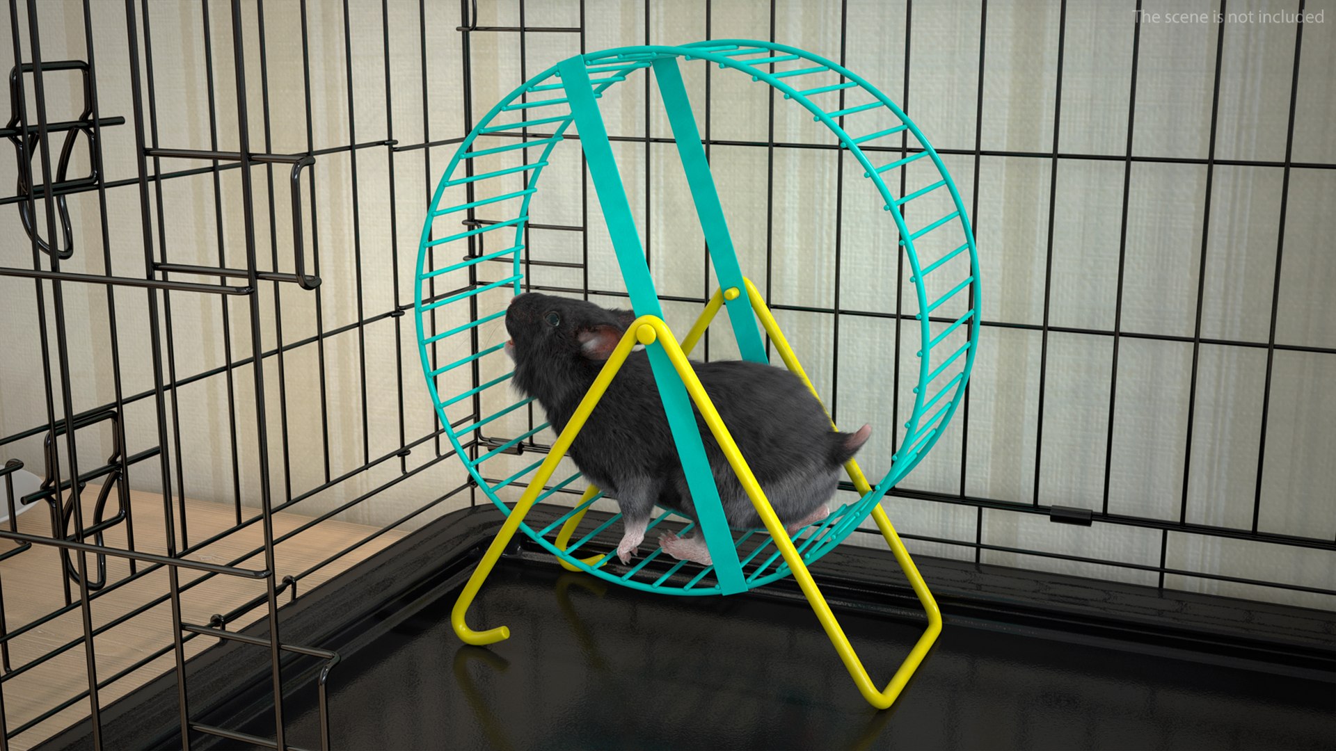 3D Syrian Hamster Black Rigged https://p.turbosquid.com/ts-thumb/KE/t7Gr1b/W4/syrianhamsterblackriggedc4dmodel002/jpg/1680474884/1920x1080/fit_q87/6cdc2064497d54b50e8d941de4f9a8ee87bb8378/syrianhamsterblackriggedc4dmodel002.jpg